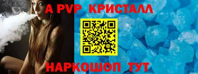 спайс Кингисепп