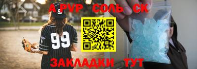 спайс Кингисепп