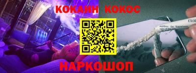 спайс Кингисепп