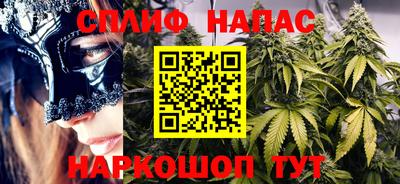 спайс Кингисепп