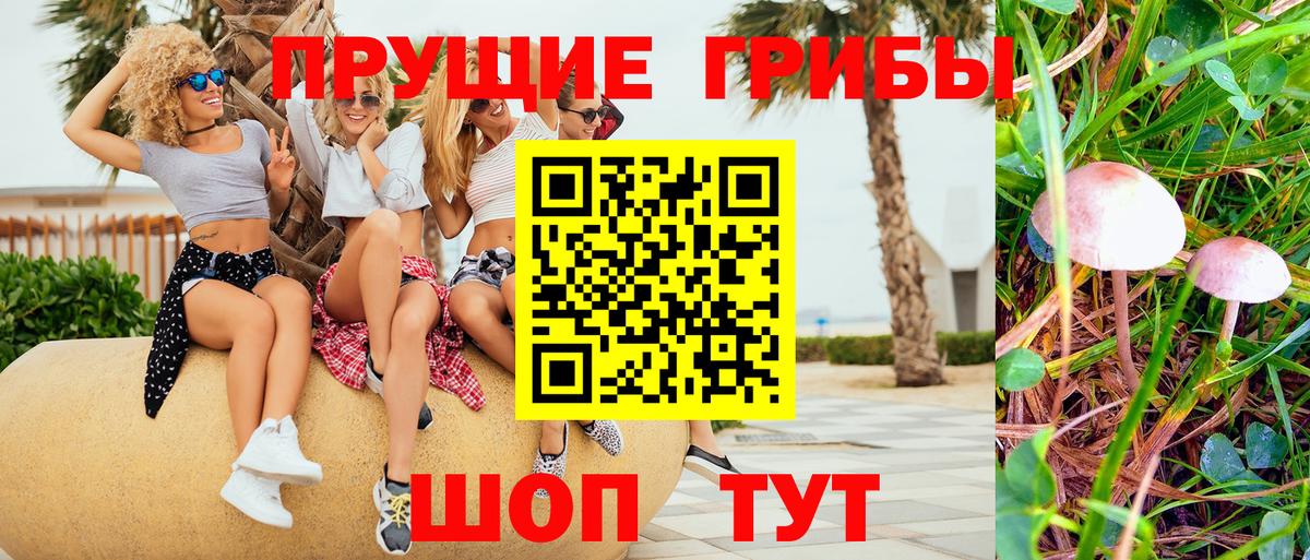 Псилоцибиновые грибы MAGIC MUSHROOMS Королёв
