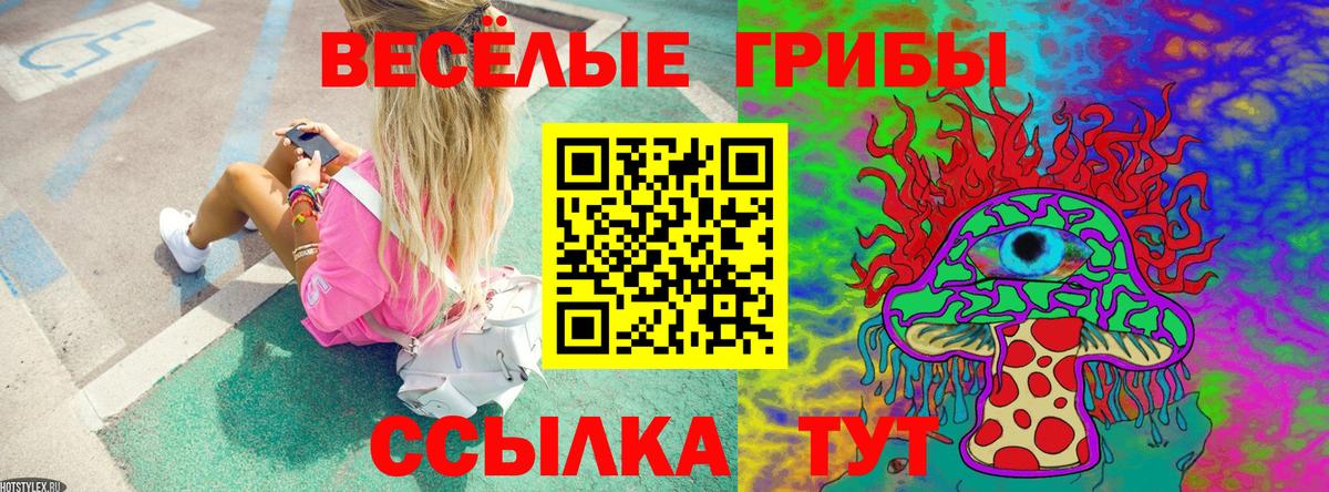Псилоцибиновые грибы MAGIC MUSHROOMS  где купить наркоту  Вход с VPN  Королёв  Галлюциногенные грибы Magic Shrooms 